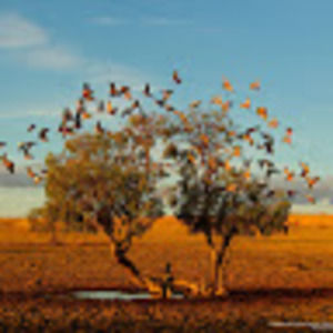 Meet your Posher, Mariana